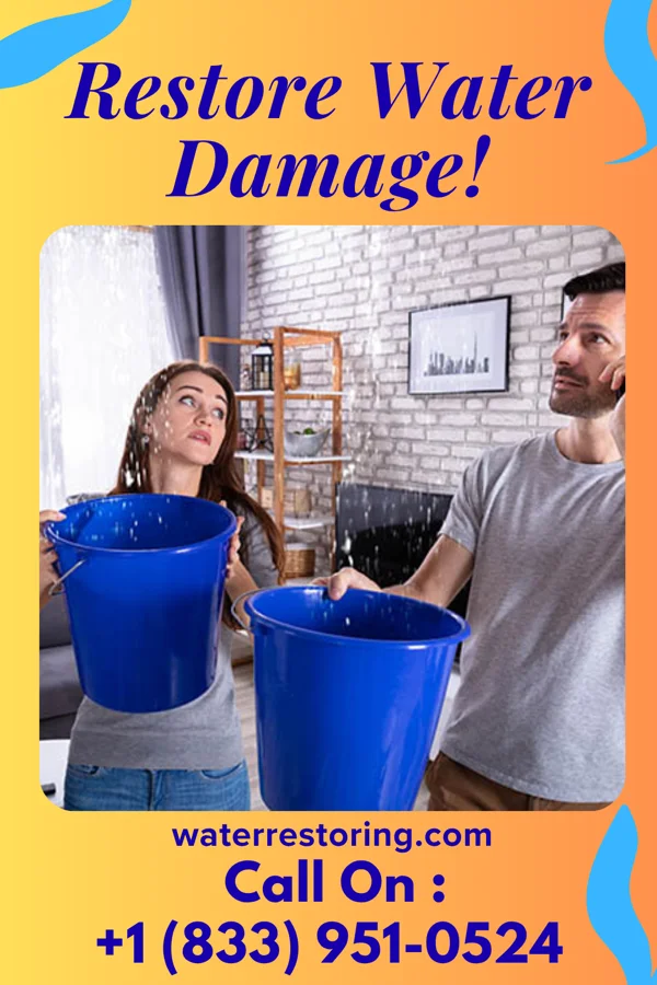 water restoration Sentinel Flood Damage & Associates Bonanza